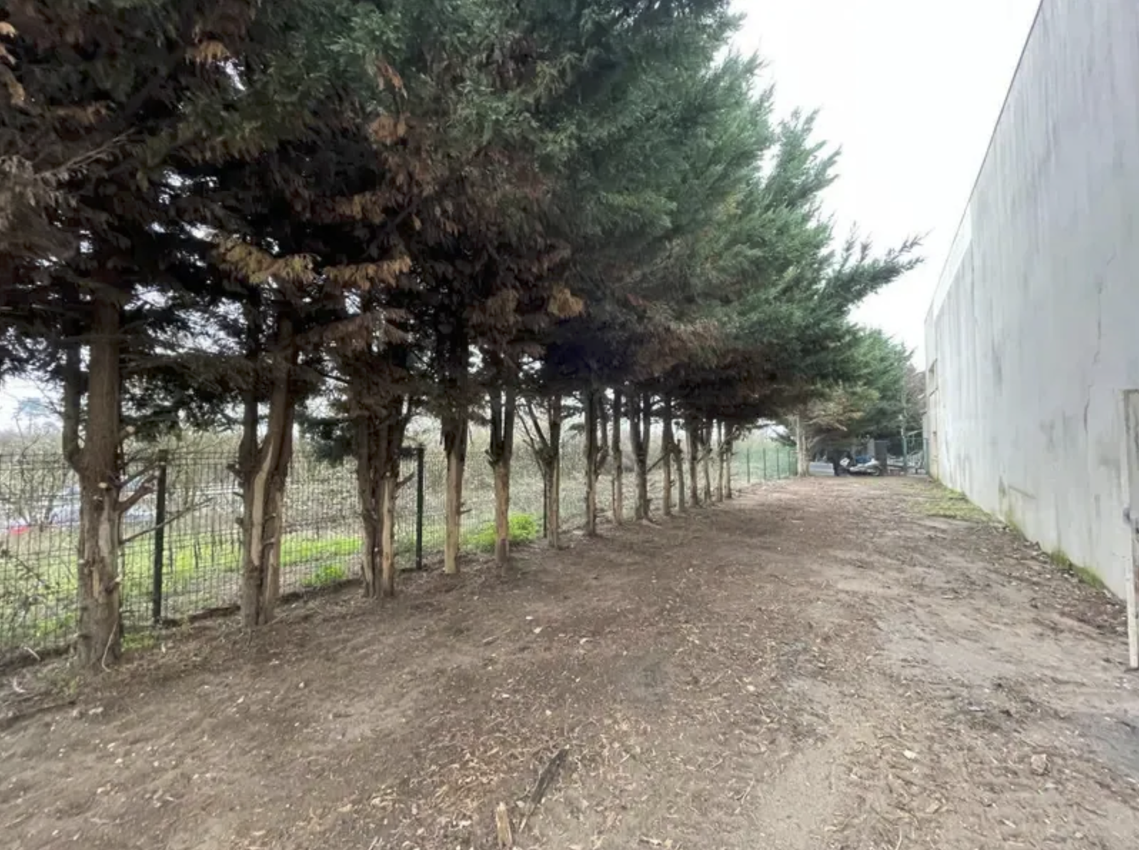 Vente locale d'activité — photo 7